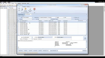 SAP Businss One SP Management