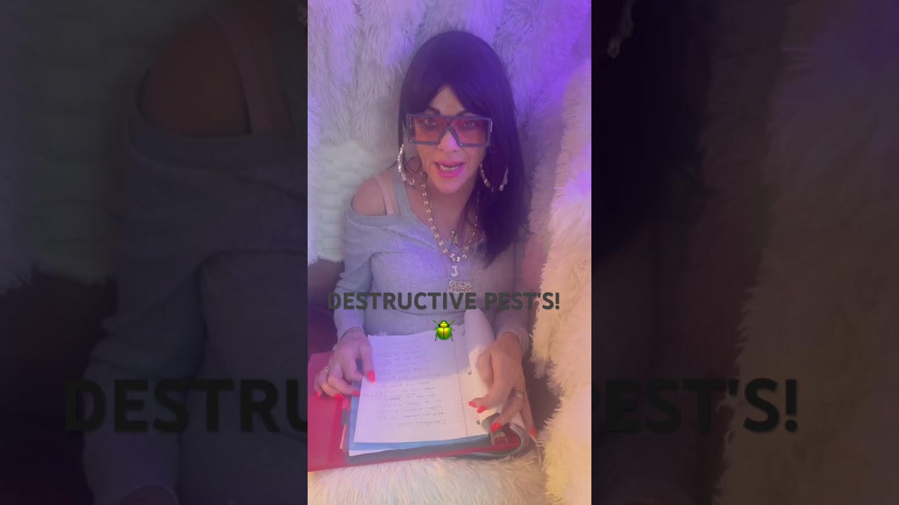 Karu Vandan Hey Shiv Nandan Shorts Shortsvideo Shortsfeed Ganesh Bhagwan - Hindi Status Tube