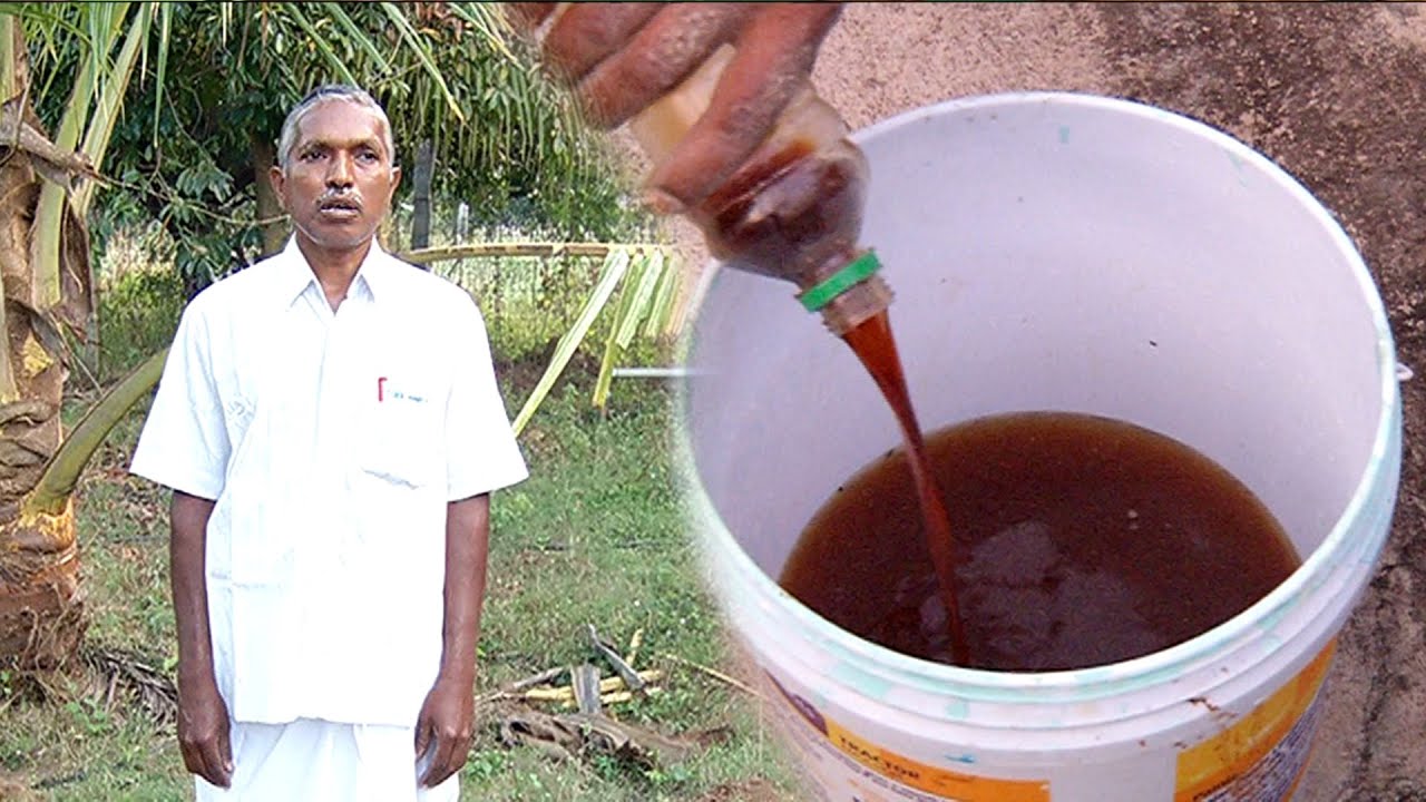 EM கரைசல் தயார் செய்வது எப்படி ? மற்றும் அதன் வகைகள் என்ன ? | Malarum Bhoomi