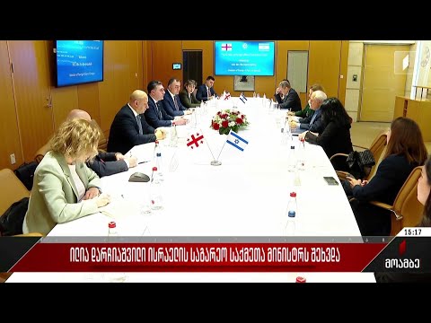 ილია დარჩიაშვილი ისრაელის საგარეო საქმეთა მინისტრს შეხვდა