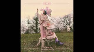 Rubblebucket - Morning in the Sun