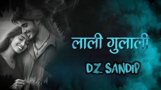 Tor Lali Gulali Surta Raja Cg Song  | Feel The Words | Dz Sandip 