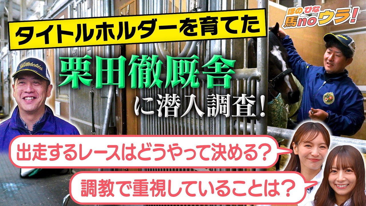 【厩舎のウラ側行ってみた!】栗田徹厩舎に密着!ほのひなの馬noウラ! #2 | JRA FUN CLUB