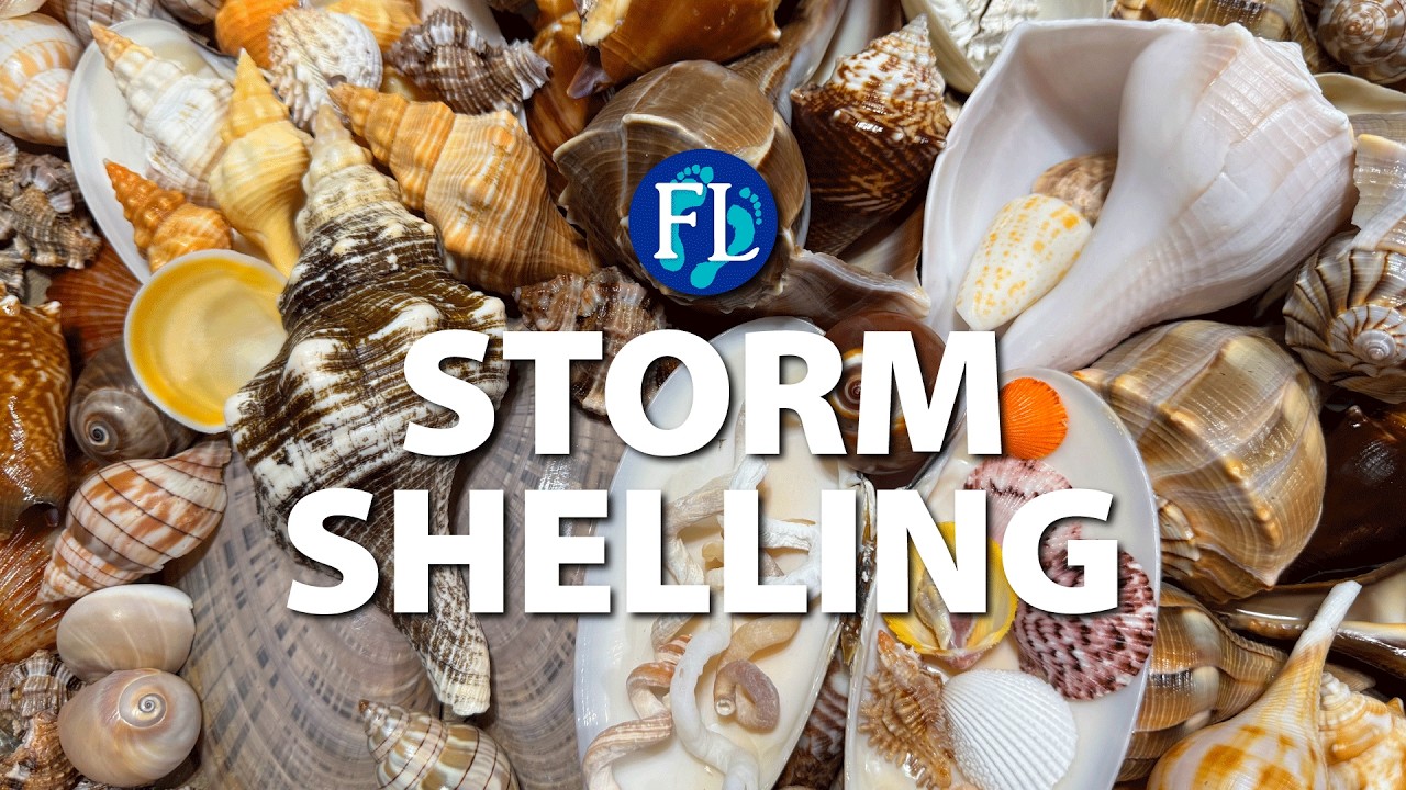 Storm #shelling 🐚 Pass-A-Grille 🌊
