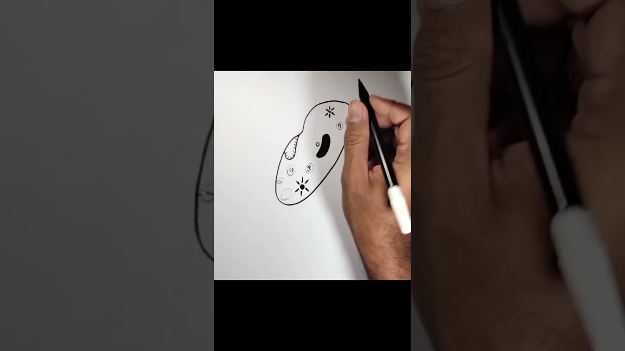 How to draw Protozoa easy Drawing 