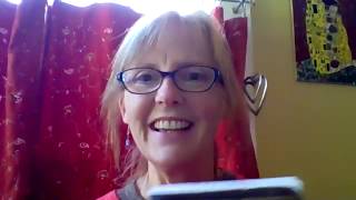 Chasing Vermeer Intro and Chapter 1