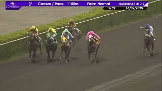 Vidéo de la course PMU GONFALONE