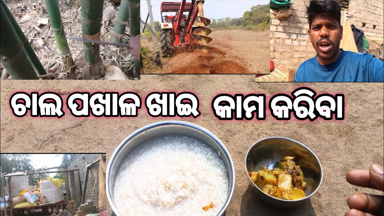 ପଖାଳ ଖାଇ କାମ କରିବା ଆସ 💪 ..🗿 jataGo Odia Express #jatabhai #jataGoOdiaVlogs