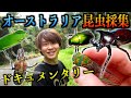 オーストラリアで見たことのない昆虫を探せ！〜ドキュメンタリー〜