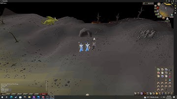 OSRS LOOT REVEAL 110 dragon bots