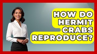 How Do Hermit Crabs Reproduce? - The Marine Life Explorer