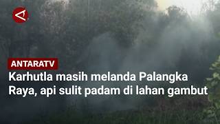 Karhutla masih melanda Palangka Raya, api sulit padam di lahan gambut screenshot 5