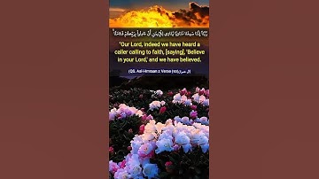 القرأن الكريم سورة ال عمران من الأية 192 إلى الأية 194 Quran Translated to English #quran #relaxing