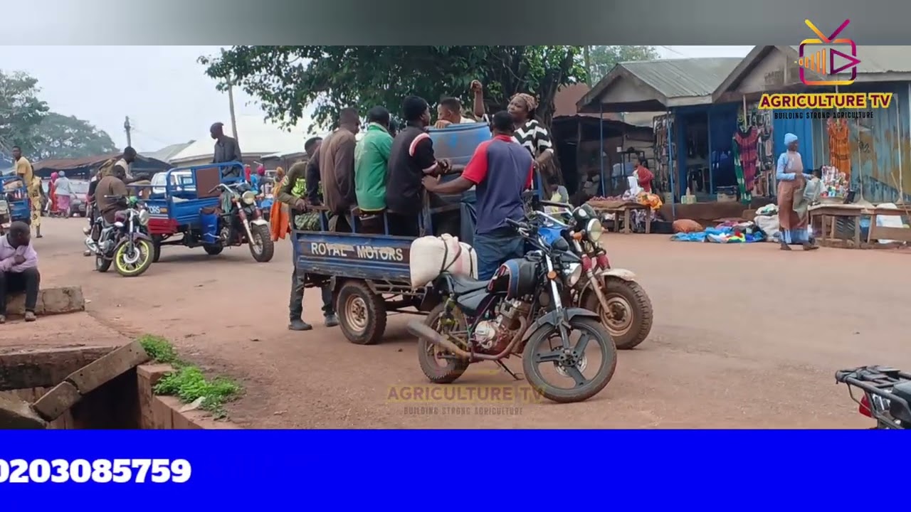 The government needs to help the farmers improve farming in Ghana.