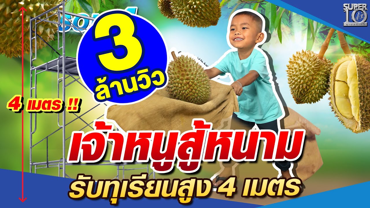 SUPER10 น้องชินจัง เจ้าหนูสู้หนาม รับทุเรียนสูง 4 เมตร SEASON4