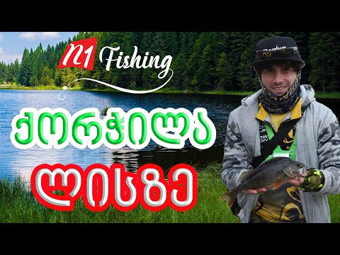 თევზაობა სპინინგით ლისის ტბაზე მონსტრი ქორჭილები