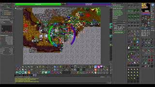Tibia War Lobera-Gugu Dogshit Venore 800 ED Flimsy