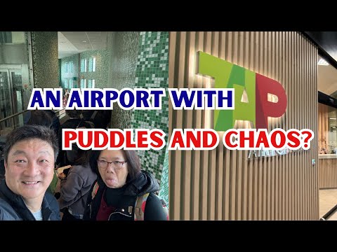 Lisbon Airport & TAP Lounge Experience, BONUS: What you must buy in LI？