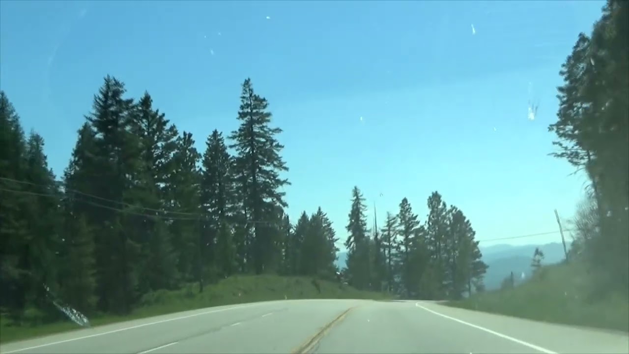 Living to 130? Elon Musk, AI Reasoning Cars, and the Question Nobody Is Asking