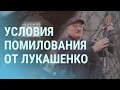 Как попасть на помилование к Лукашенко. Как попасть в Беларусь из Ирака | УТРО | 12.08.21