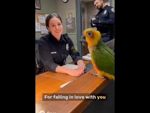 Mortal Kombat-dan erotik fotosuratlar Ashlin Bruk bilan porno tomosha qiling