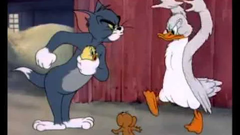 Funny Scene From Tom And Jerry