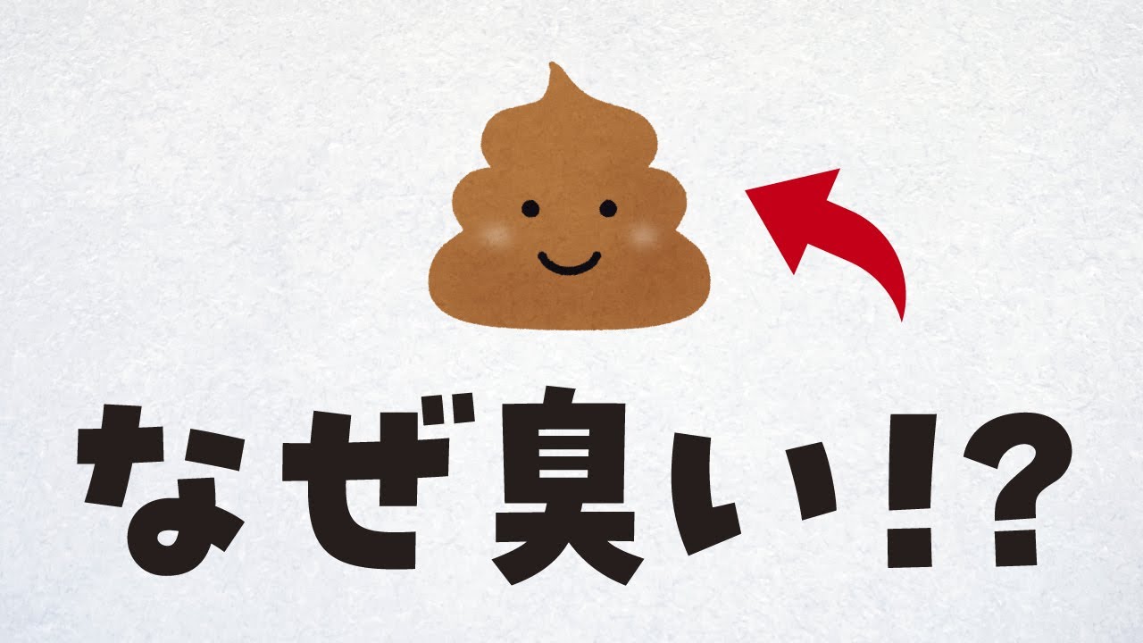 【徹底解説】「う ち」はどうして臭いのか【恐るべき必殺技】 - YouTube