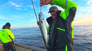 Successfully Catching Big Mackerel & Crab On A Picturesque Day