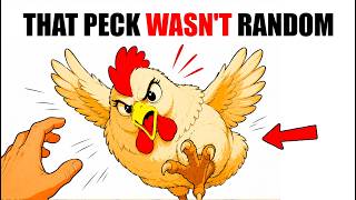 If Your Chicken Pecked You for No Reason, This Could Explain Everything