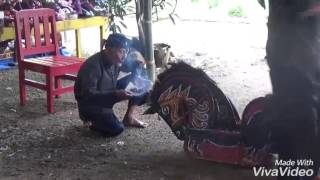 Kuda kepang peyuyon 1