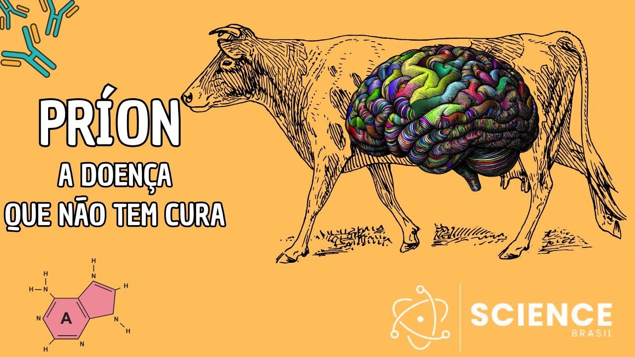 PRÍONS: A doença que destrói seu cérebro | NÃO TEM CURA!