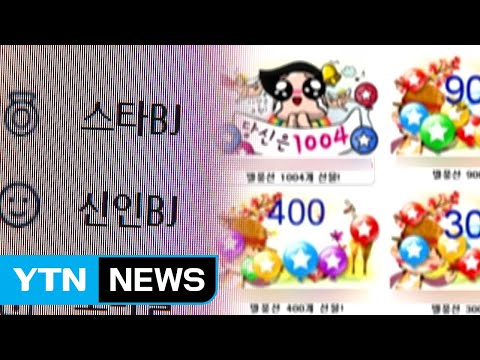 1인 미디어 전성시대...그 빛과 그림자 / YTN