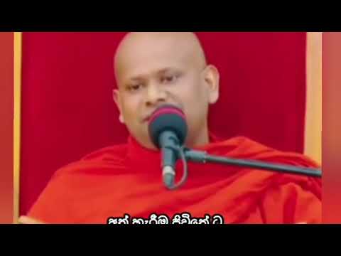 කාලීන ධර්ම දේශනා 🙏🌼 