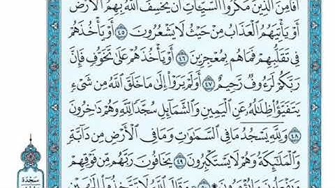 تلاوة سورة النحل من الآية 48 إلى الآية 55