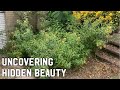 EXTREME OVERGROWN GARDEN BED RESTORATIONS PART ONE