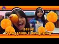 Praktek IPA : Ananda Aurora "Jeruk Yang Tenggelam & Mengapung"