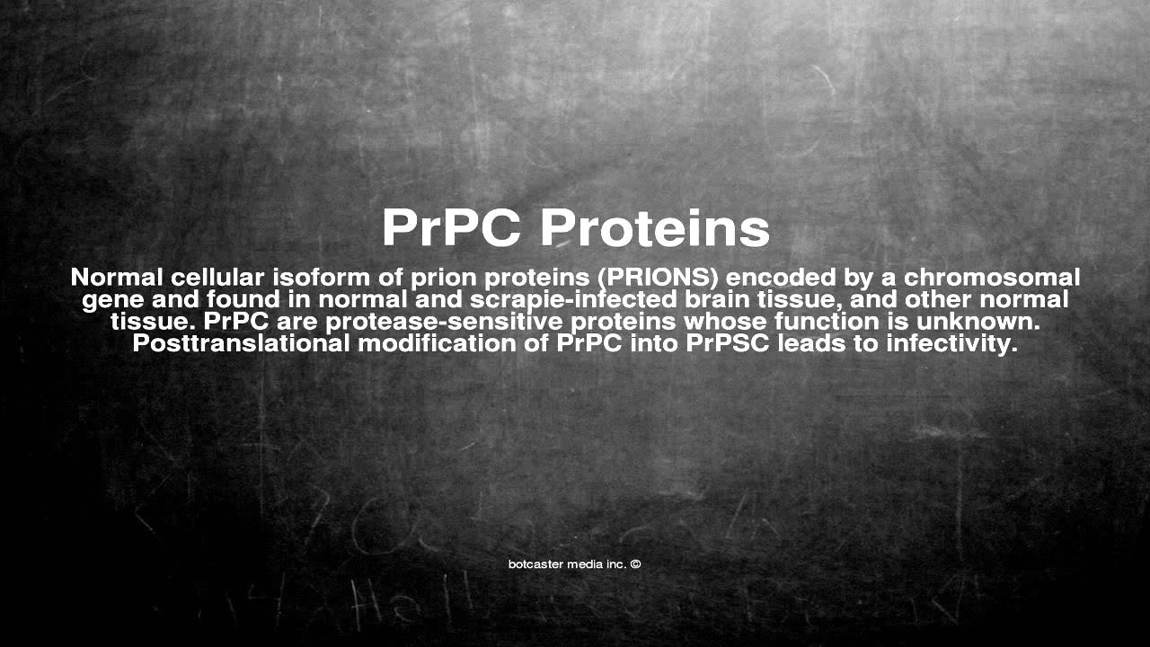 medical-vocabulary-what-does-prpc-proteins-mean-youtube