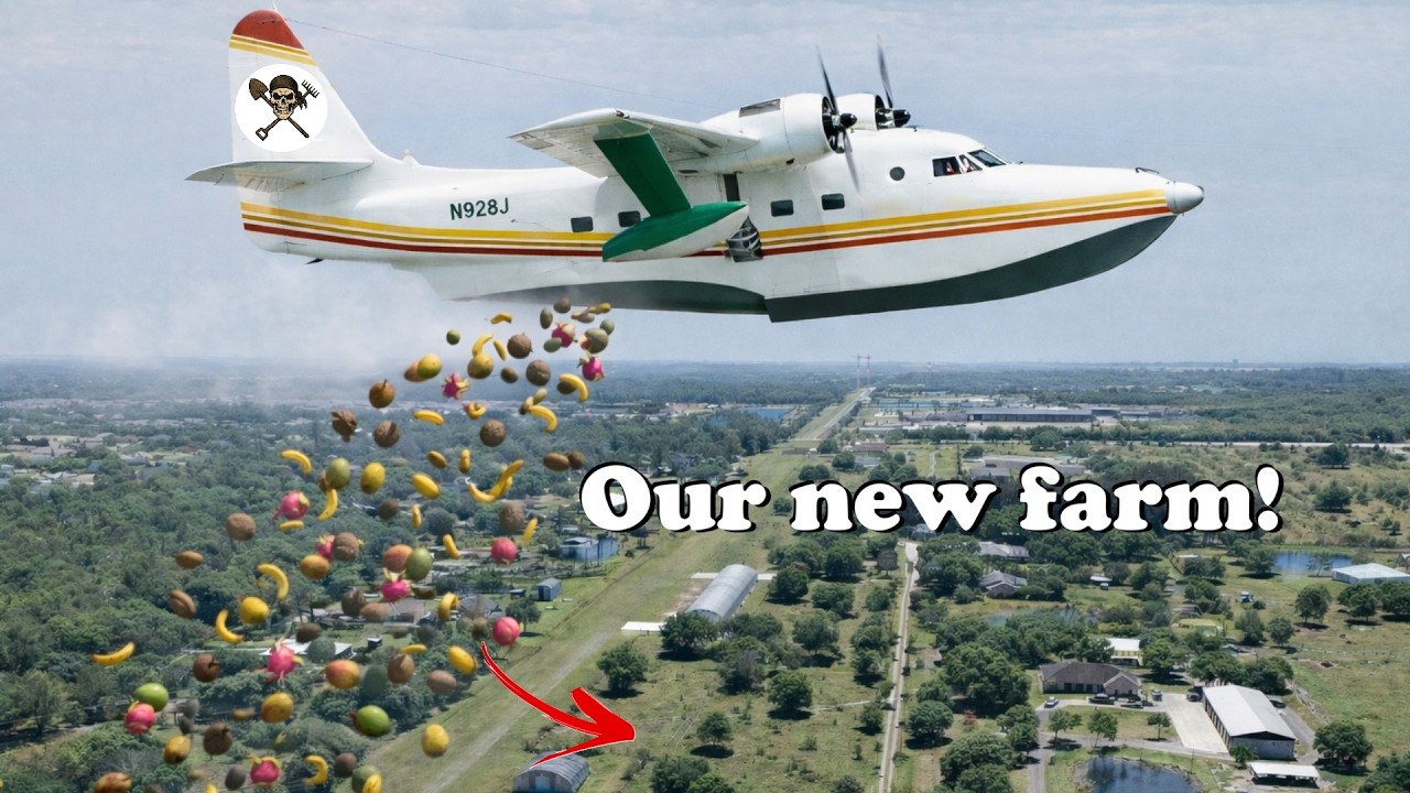 Мы купили аэродром, чтобы открыть питомник органических растений!