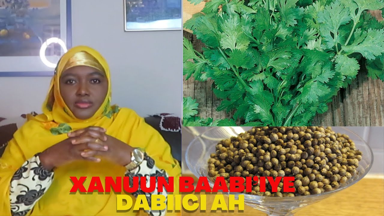 WAA DAAWO XANUUN BAABI'IYE AAN LAGU BARAARUGSANEEN! KAFAAIDEEYSO! YouTube