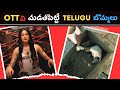 Top 9 Trending OTT Movies & Series in Telugu | January 2024 Telugu Movies | Must Watch | Movie Macho