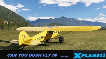 CAN YOU BUSH FLY IN XPLANE 12