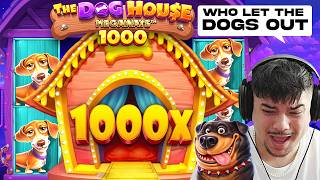 WE ACTUALLY HIT THE 1000x on Dog House Megaways 1000?!