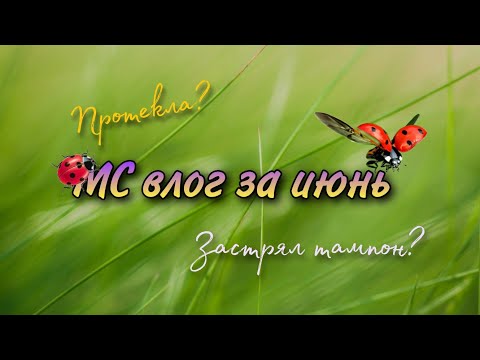 МС влог июнь 2022 (на даче) || Заклинило тампон