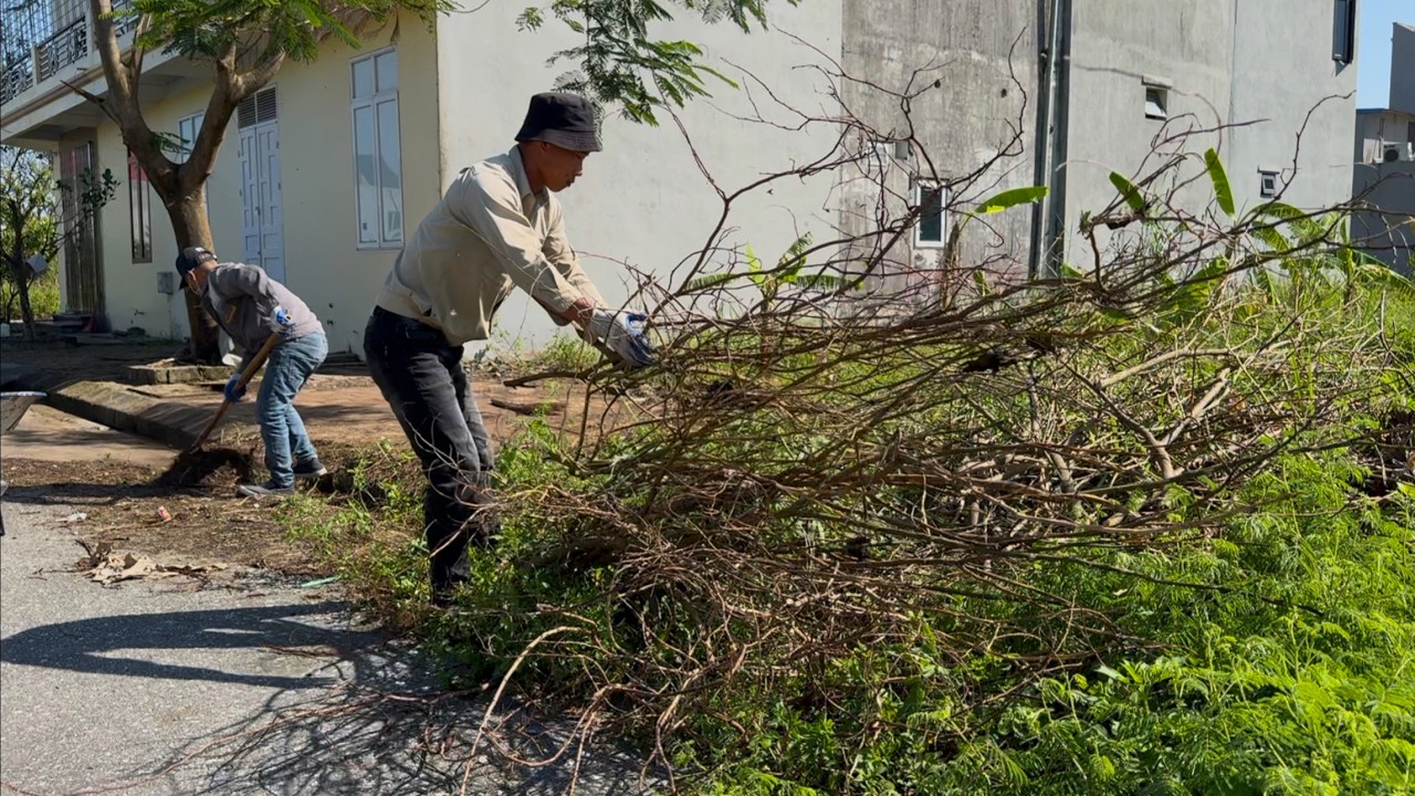 Очищаем тротуары как профессионал — БЫСТРО и ЭФФЕКТИВНО!