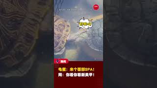 【这个是真龟蜜！🫣】