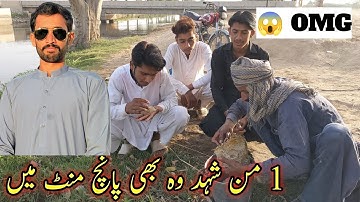 The Full Process of Harvesting Pure Natural Honey: Experience the Hard Work! ❣️😊