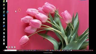 Properly log into and out of Citrix Using Edge