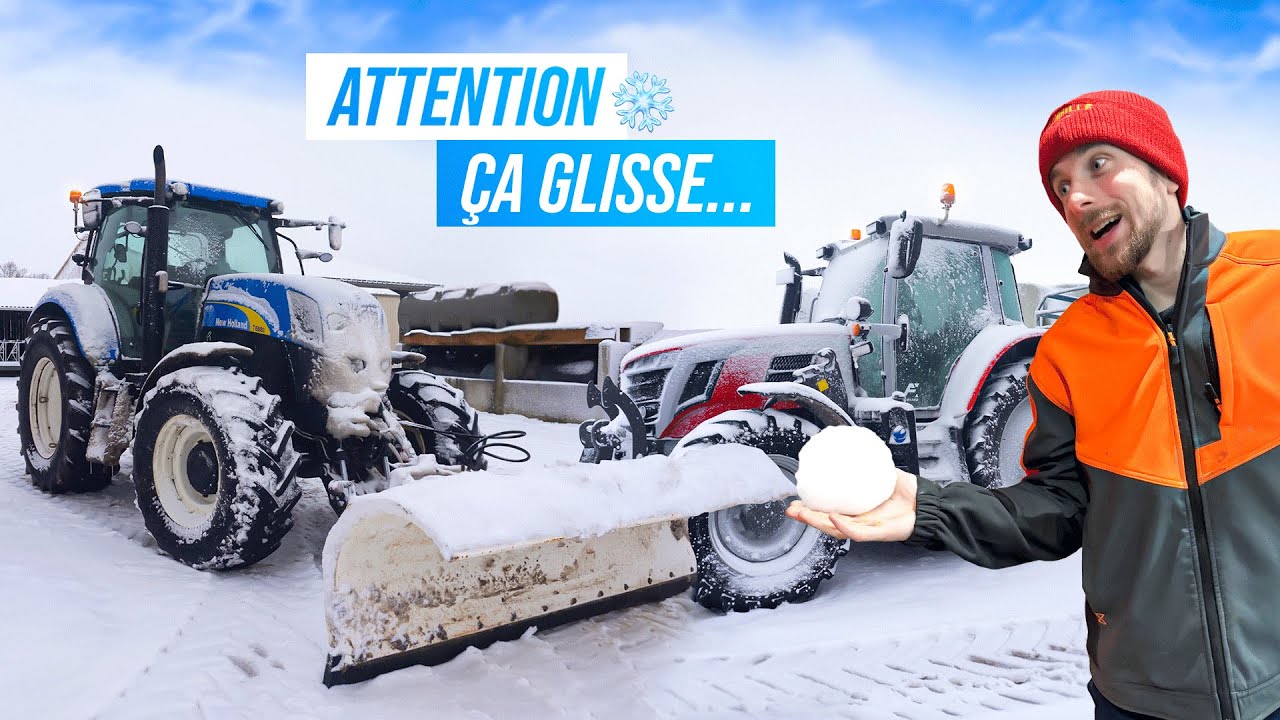 DÉNEIGEMENT ET TRANSPORT DES VACHES, c'est limite...