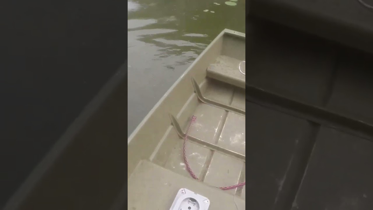 big bass from the lily pads 