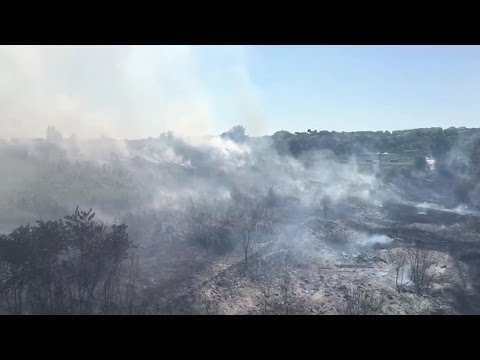 Incendio a Ponte Marconi, a fuoco gli argini del Tevere